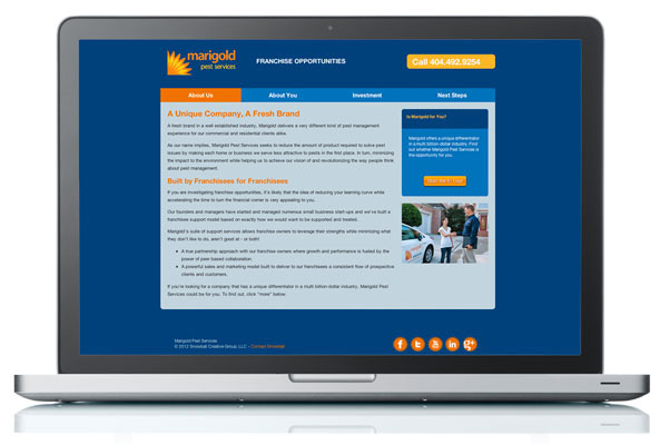 Web Design