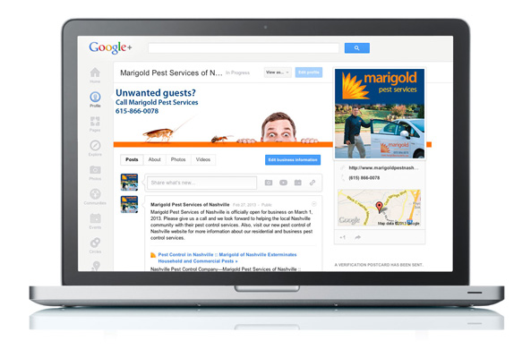 Google Plus Page