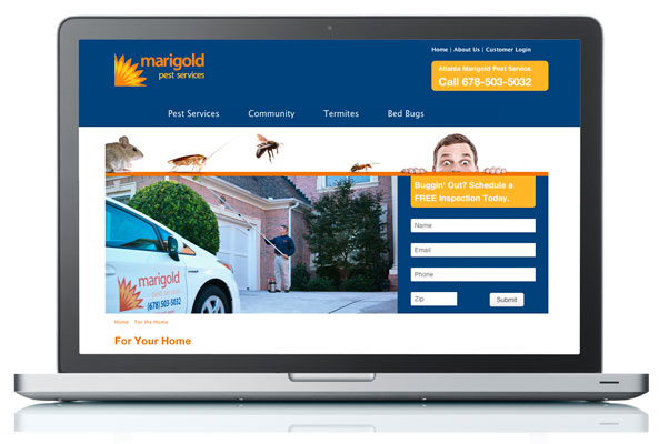 Website Design