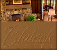 Blalock Lakes brochure design